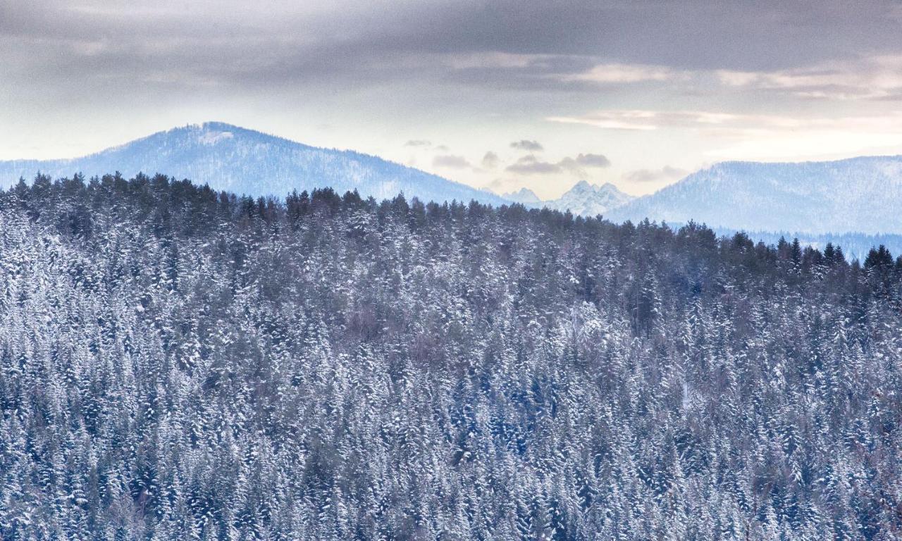 Sloneczny Chelm - Apartamenty W Gorach, Prywatna Sauna Jacuzzi Balia W Cenie, Spa, Grill, Stok Narciarski Myslenice, Sciezki Rowerowe, Rzeka Raba, Widok Na Tatry Exterior foto